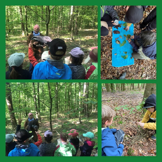 Klasse 1a und 2b im Wald