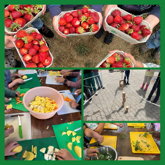 4 Fotos vom Ausflug: gepfl&uuml;ckte Erdbeeren, geschnittenes Gem&uuml;se, Turm, geschnittene Kr&auml;uter