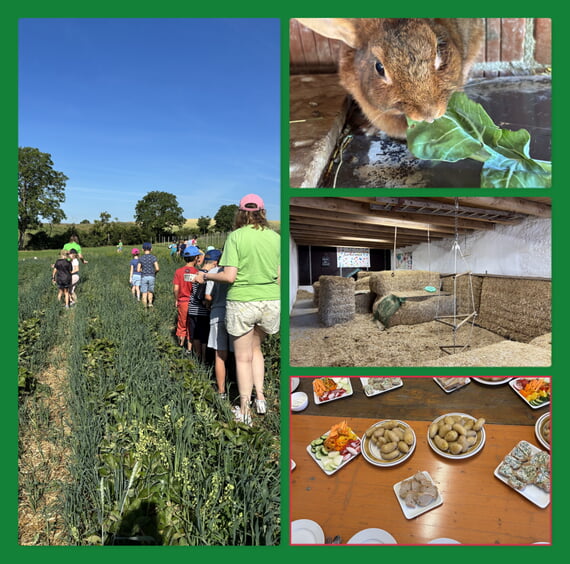 Collage aus 4 Fotos vom Ausflug, Klasse auf Feld, Hase, Scheune zum Toben von innen, fertiges Mittagessen